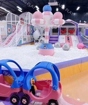 Purple Indoor Playground